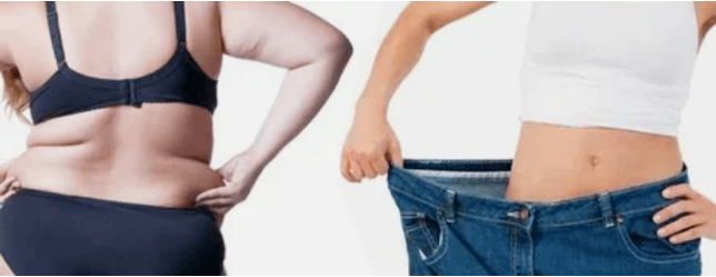 आहार मेनू के सिद्धांत प्रिय